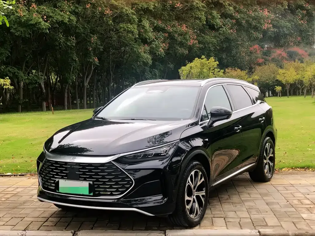BYD Tang New Energy — фото 1