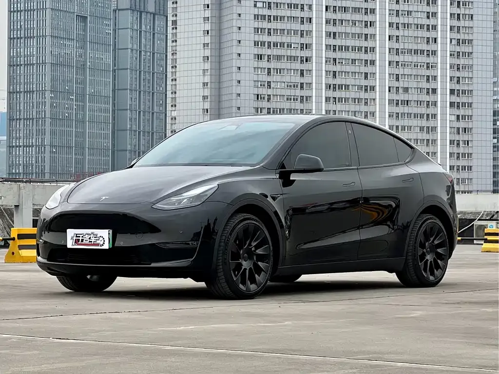 Tesla Model Y — фото 1