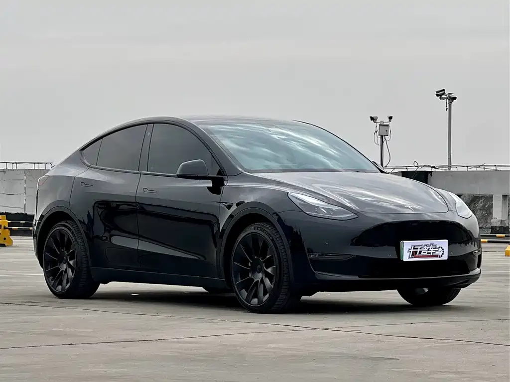 Tesla Model Y — фото 4