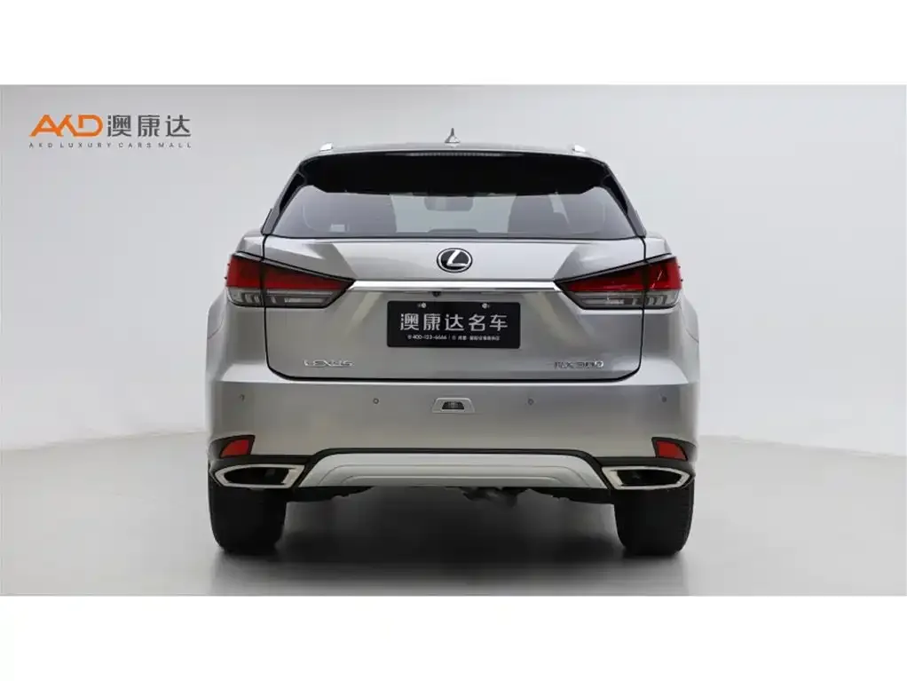 Lexus RX — фото 10