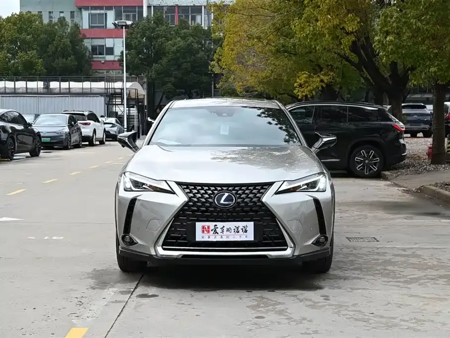 Lexus UX New Energy — фото 4