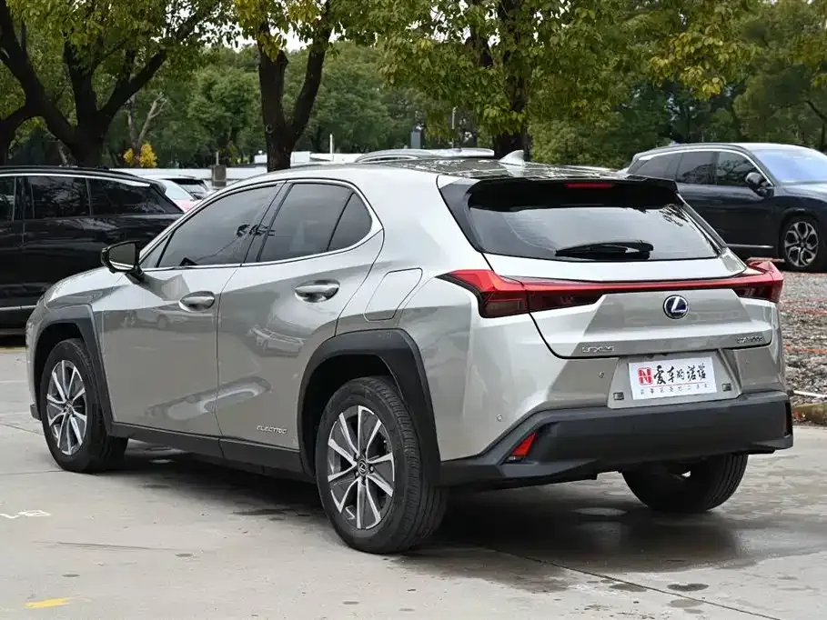 Lexus UX New Energy — фото 9