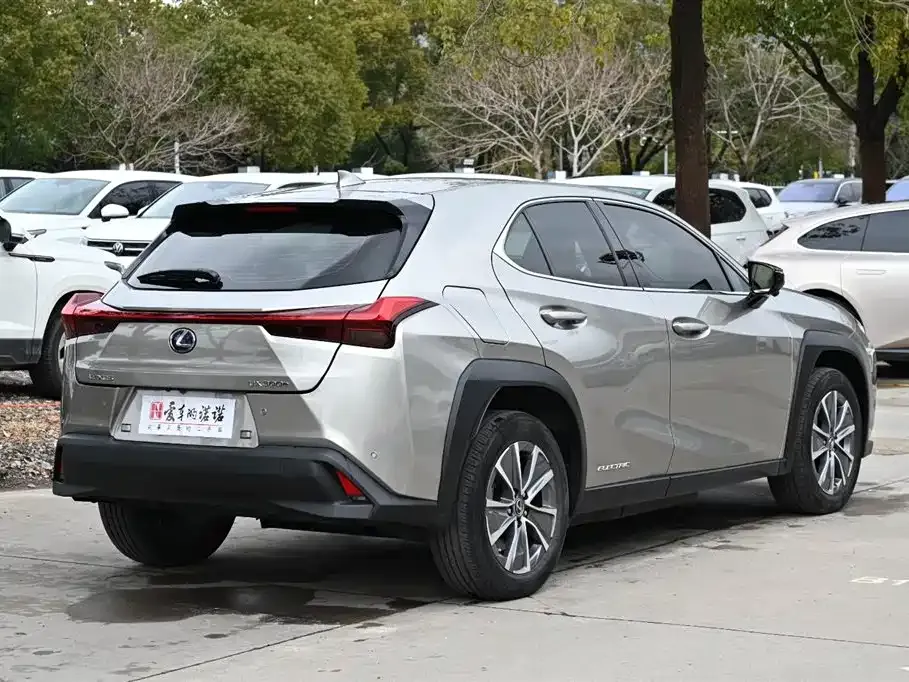 Lexus UX New Energy — фото 7