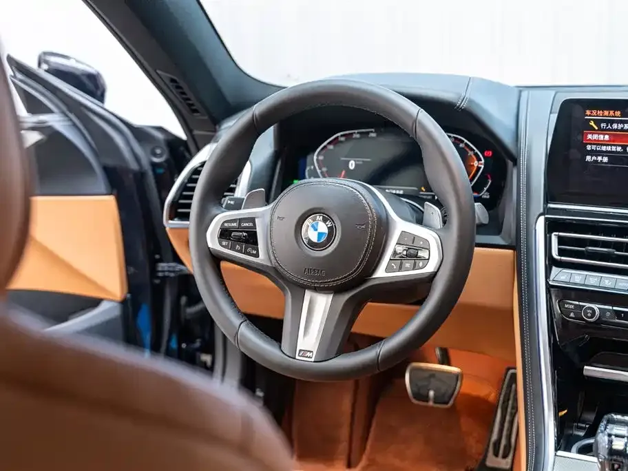 BMW 8 Series — фото 5