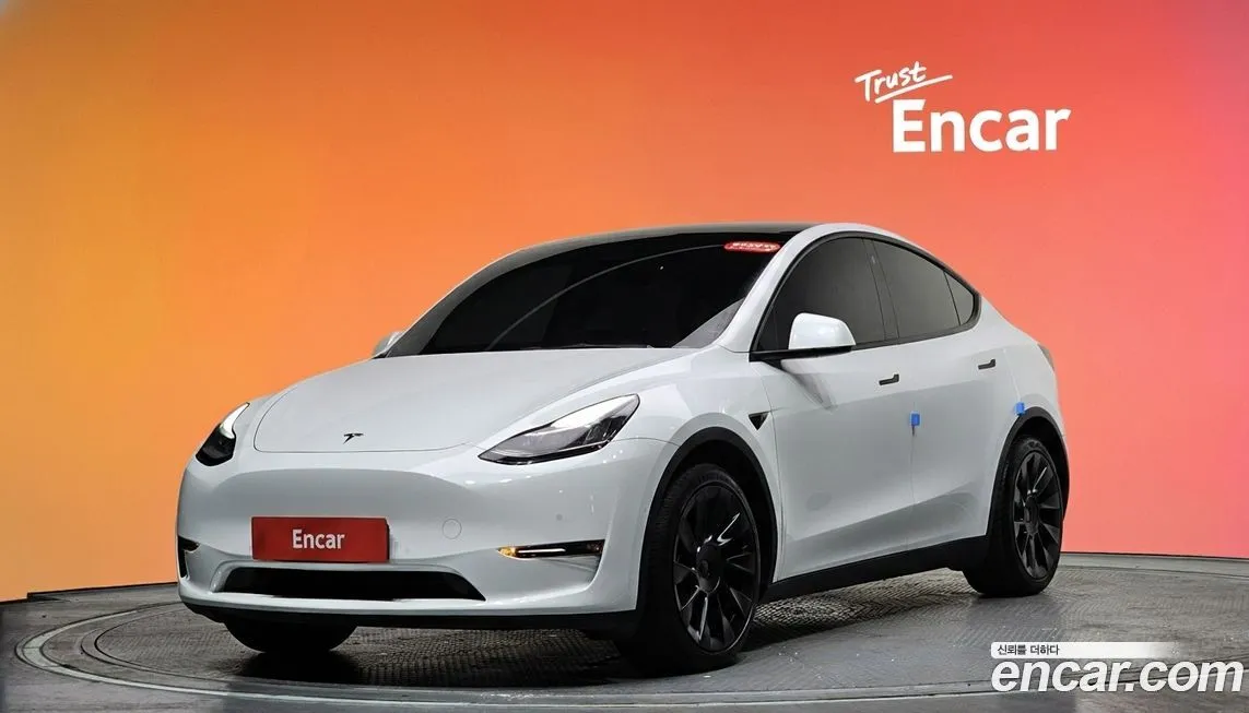 Tesla Model Y — фото 1
