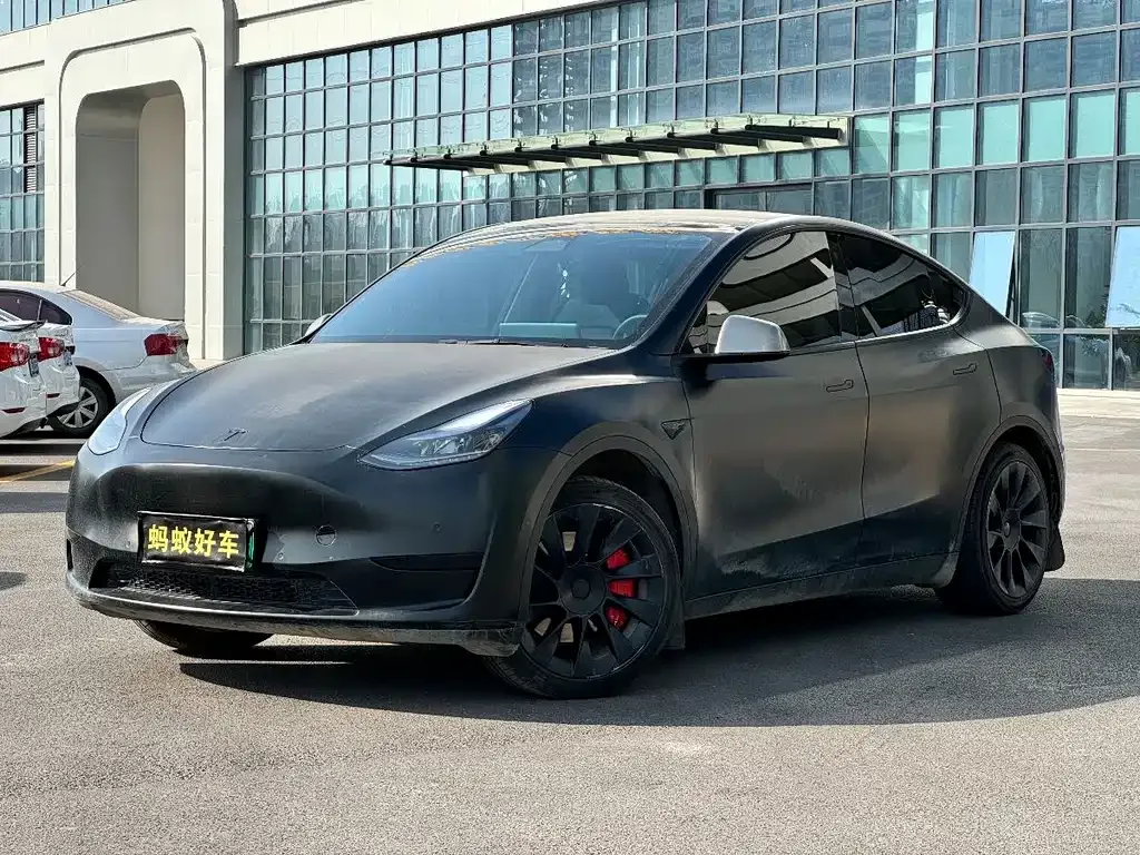Tesla Model Y — фото 1