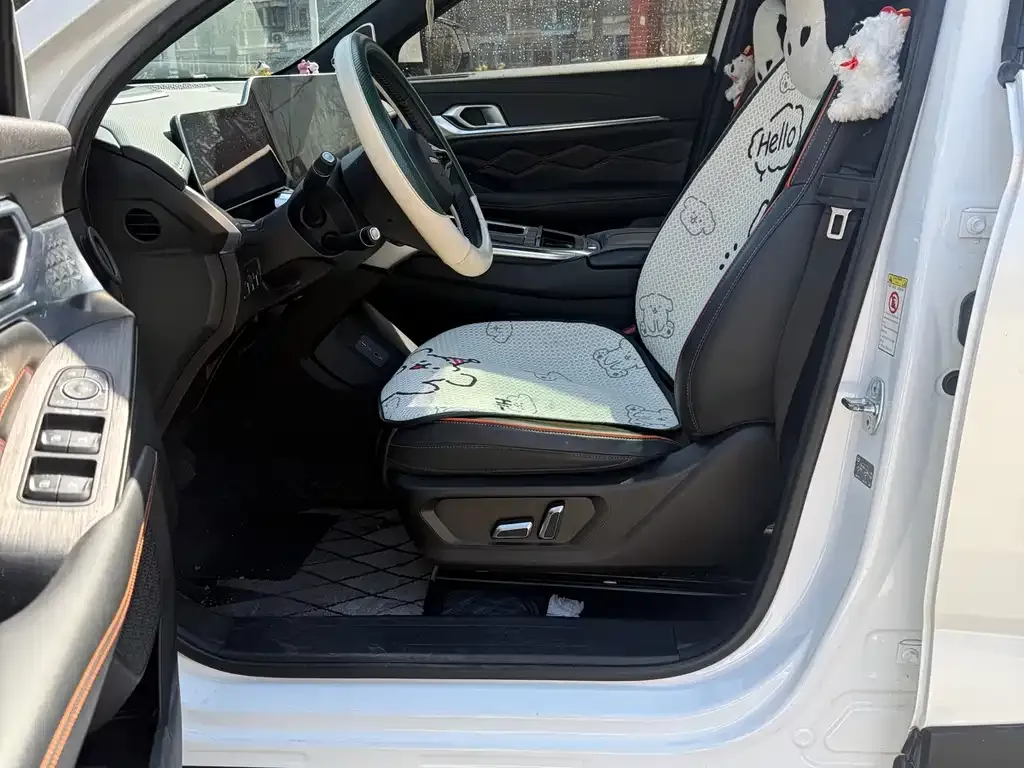 Haval Shenshou — фото 6
