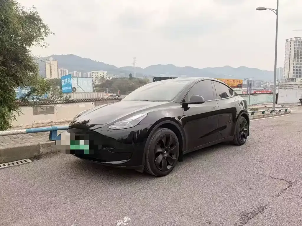 Tesla Model Y — фото 1
