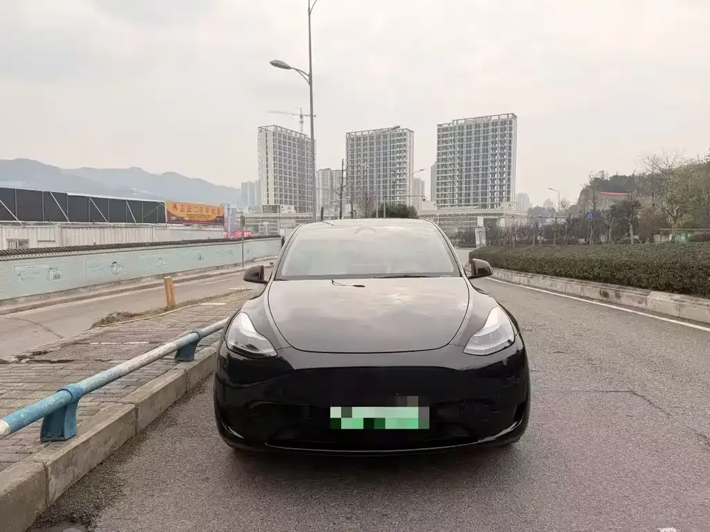 Tesla Model Y — фото 3