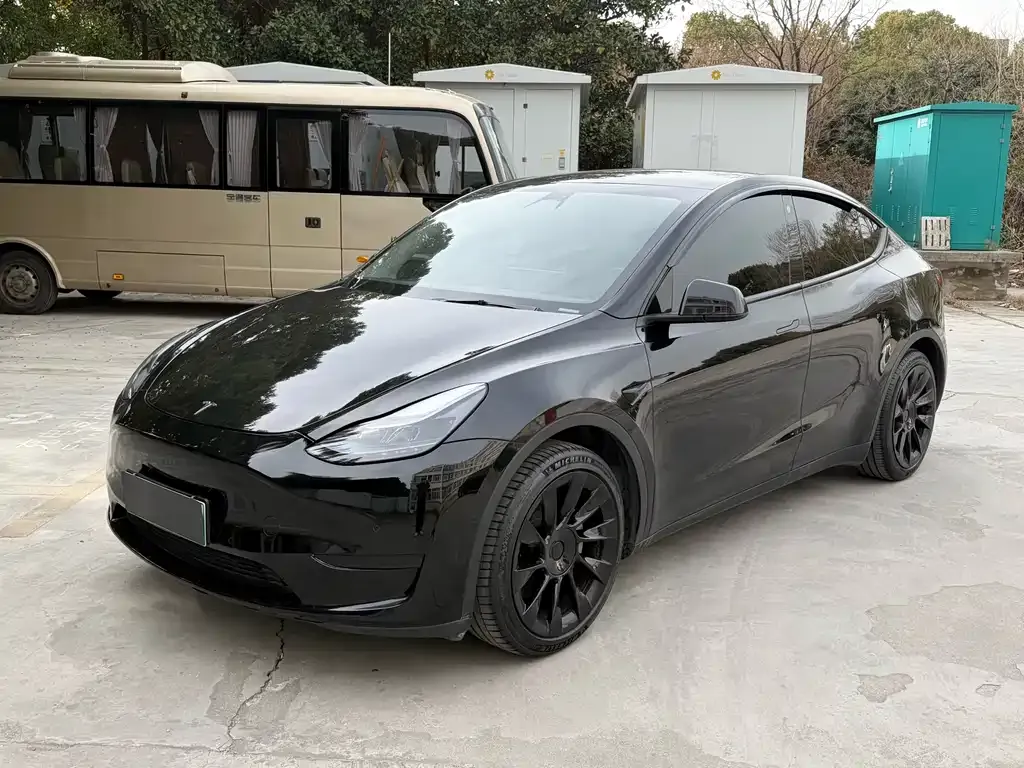 Tesla Model Y — фото 1