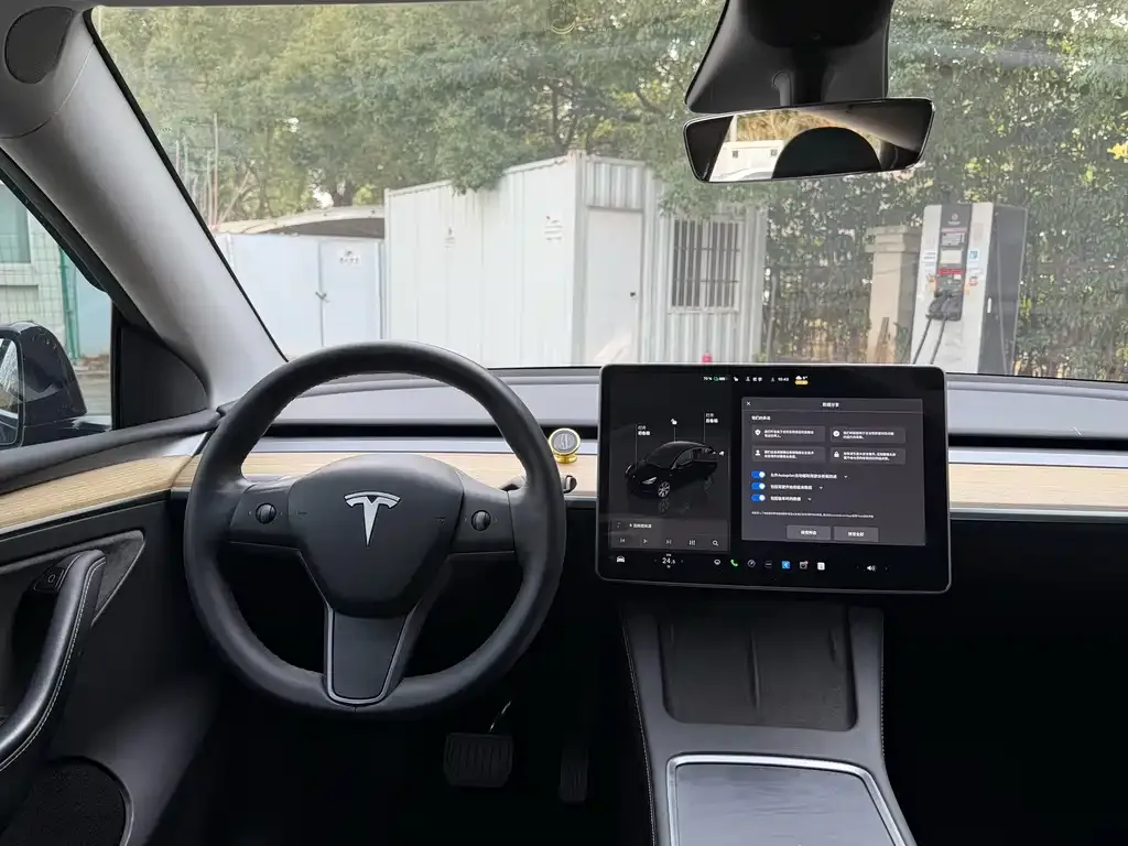 Tesla Model Y — фото 2