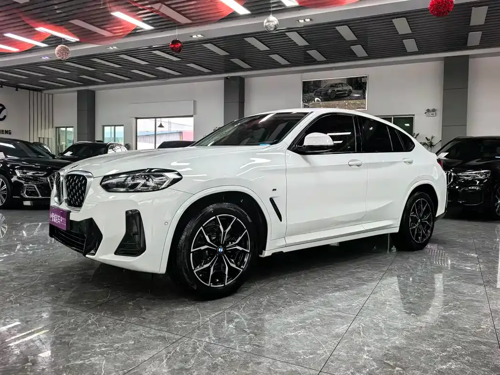BMW X4 — фото 1