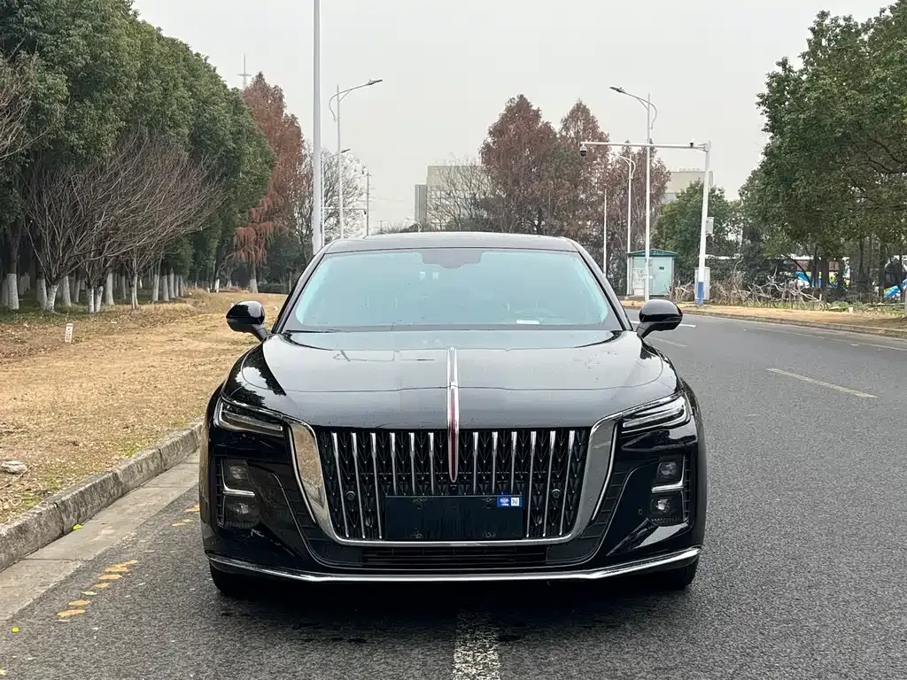 Hongqi H5 — фото 6