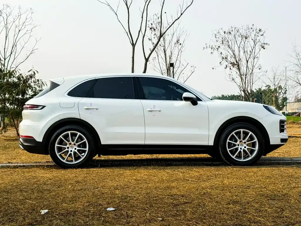 Porsche Cayenne — фото 10