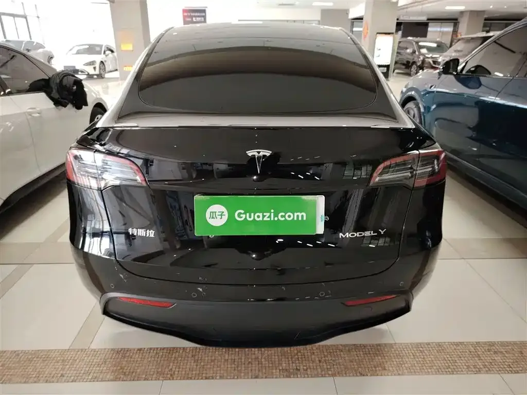 Tesla Model Y — фото 10