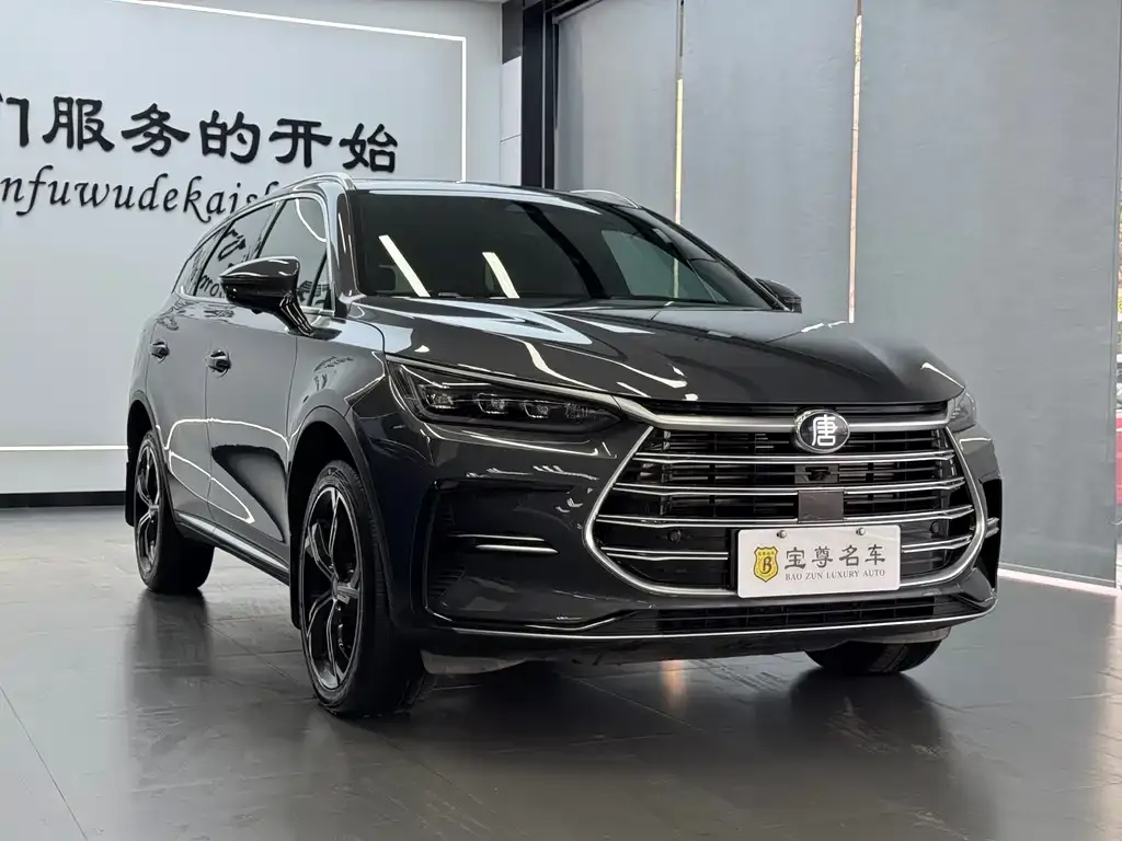 BYD Tang New Energy — фото 4
