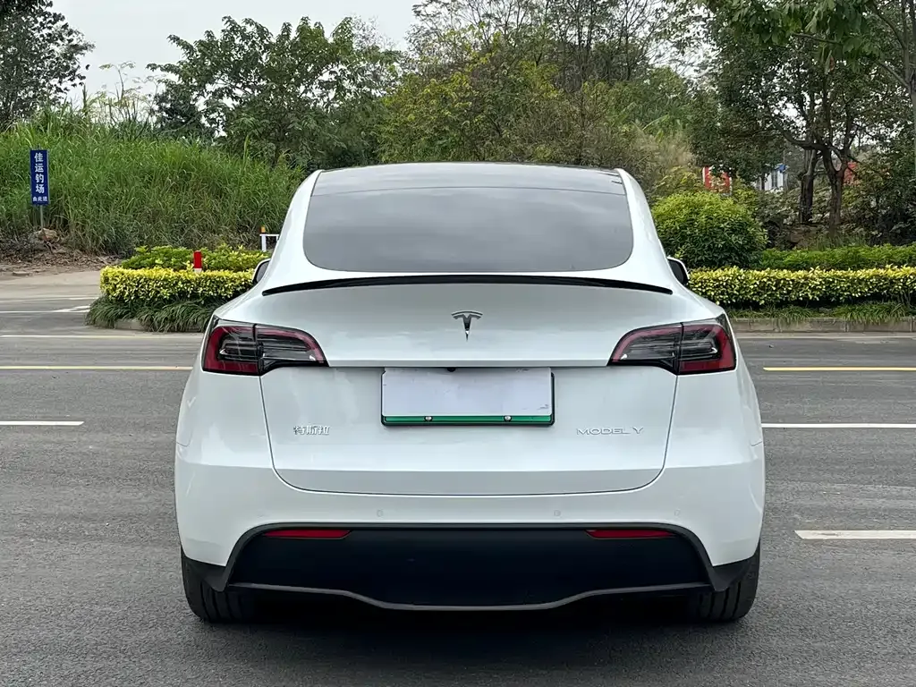 Tesla Model Y — фото 3
