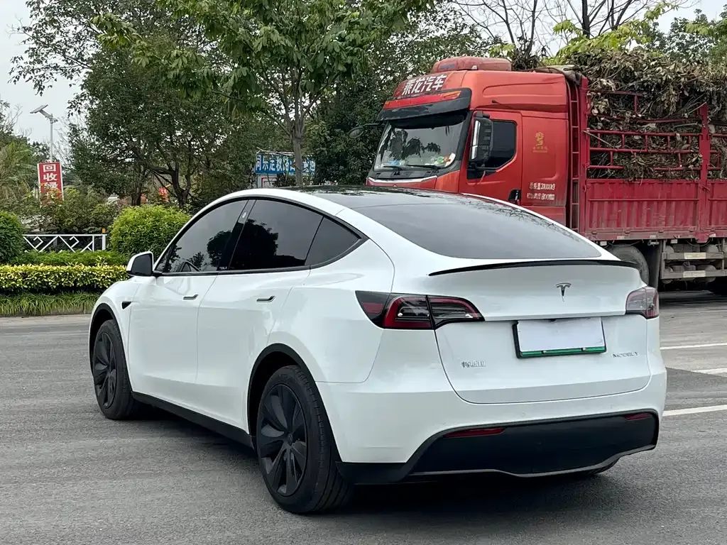 Tesla Model Y — фото 5