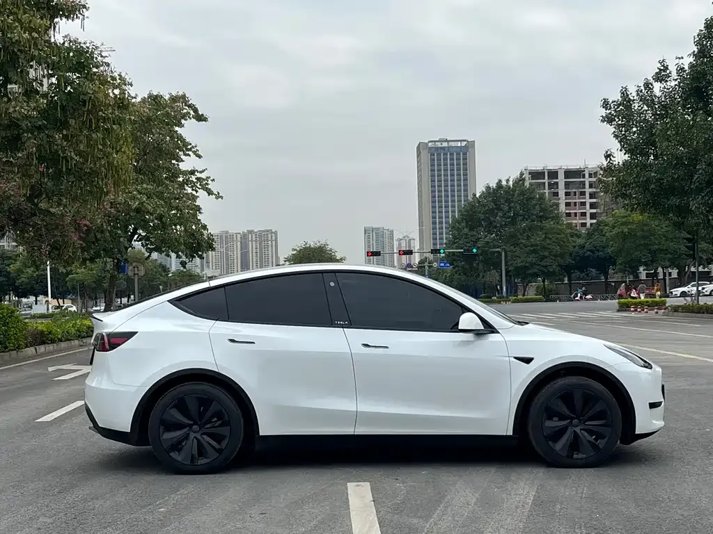 Tesla Model Y — фото 2