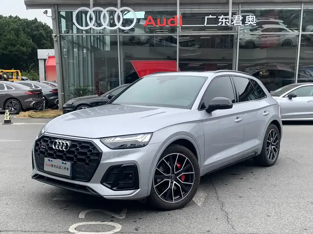 Audi SQ5 — фото 1