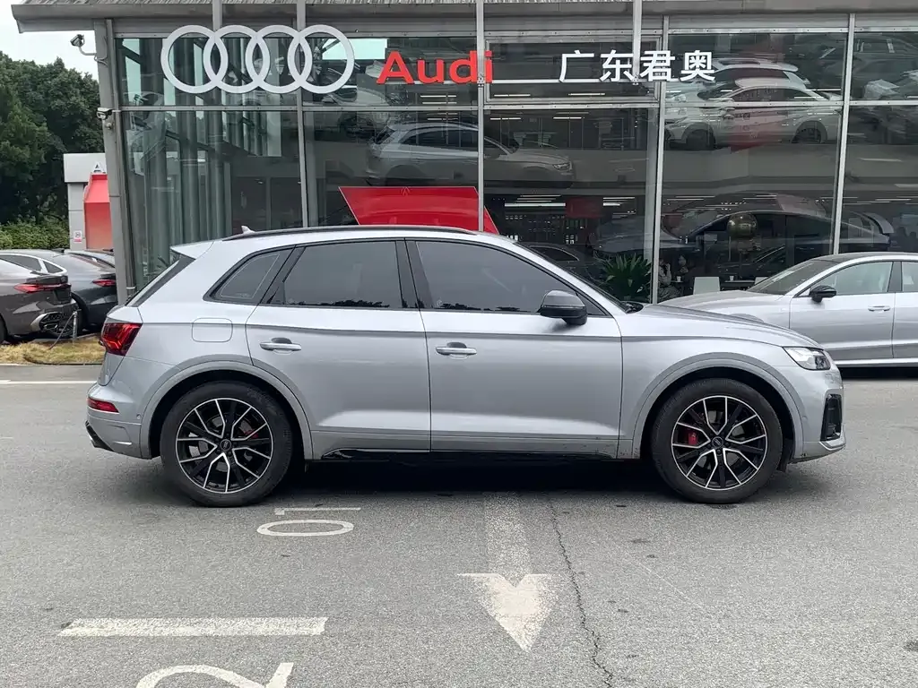 Audi SQ5 — фото 3