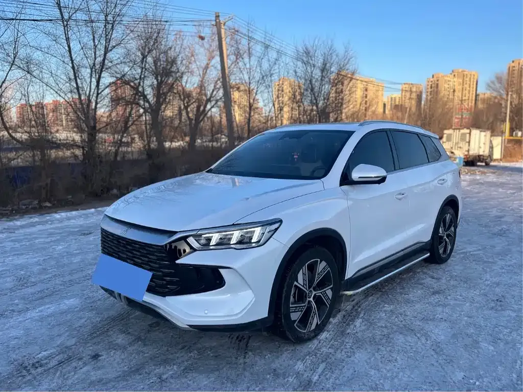 BYD Pro New Energy — фото 1