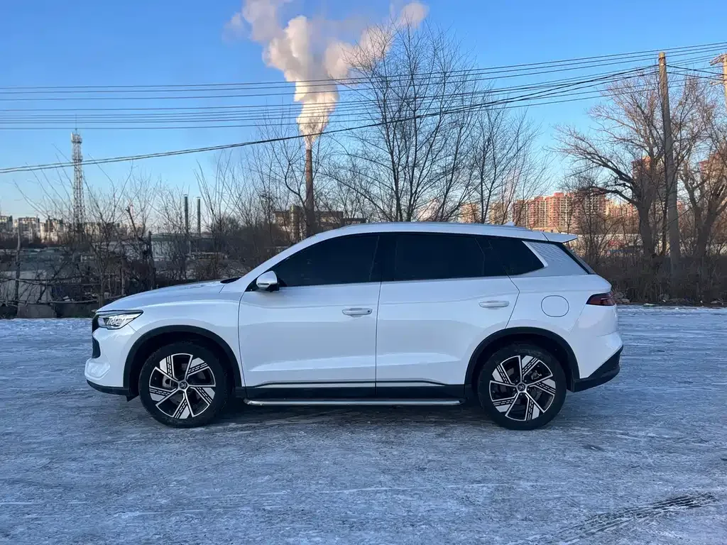 BYD Pro New Energy — фото 6
