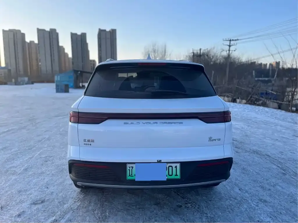 BYD Pro New Energy — фото 4