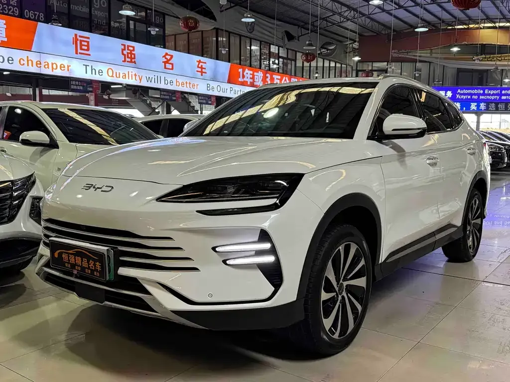 BYD PLUS New Energy — фото 1