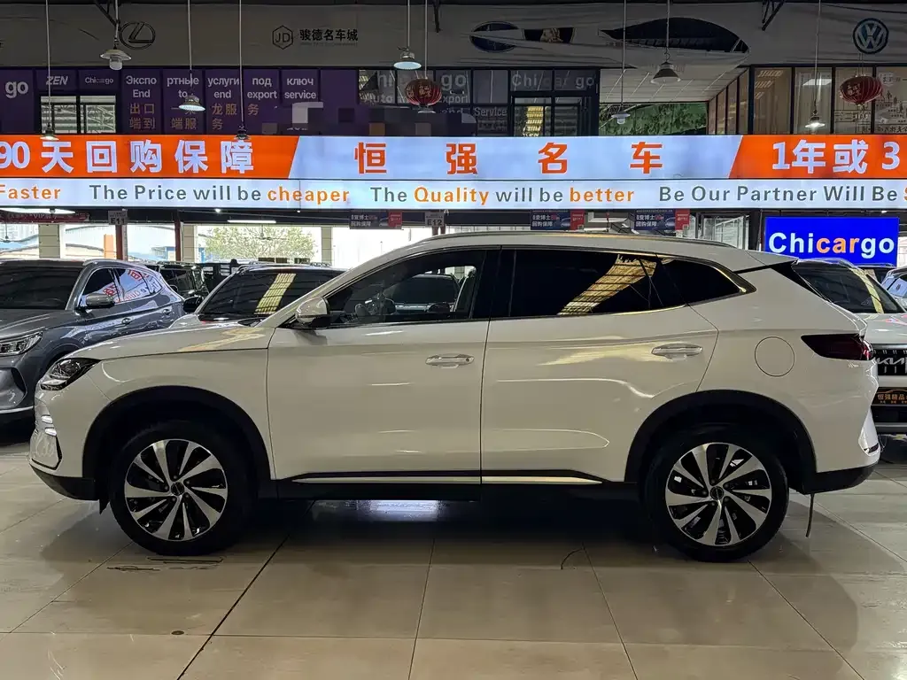BYD PLUS New Energy — фото 4
