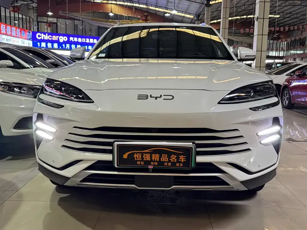 BYD PLUS New Energy — фото 8