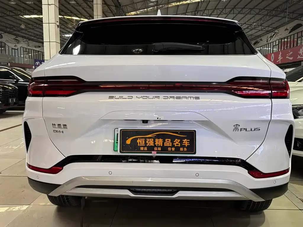 BYD PLUS New Energy — фото 6