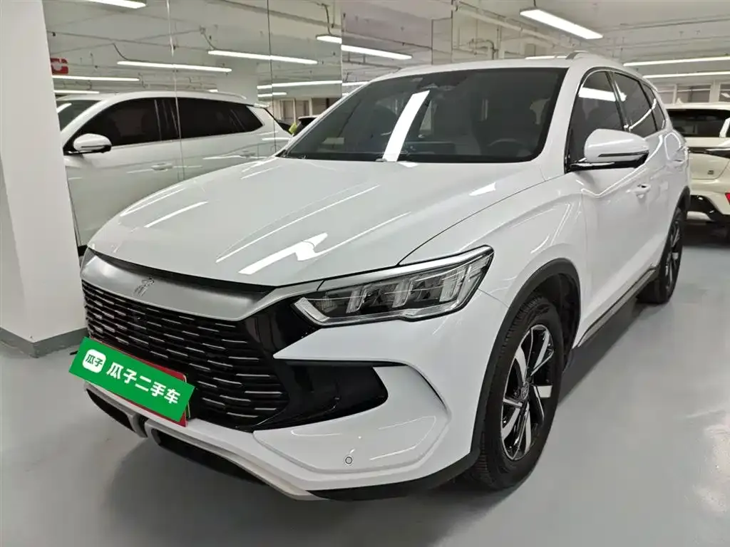 BYD Pro New Energy — фото 1