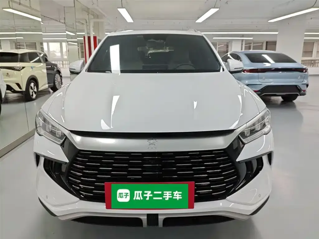 BYD Pro New Energy — фото 7
