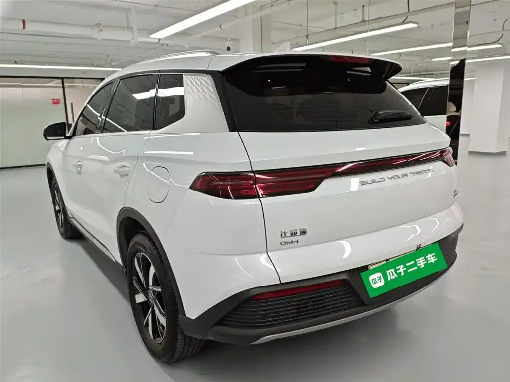 BYD Pro New Energy — фото 10