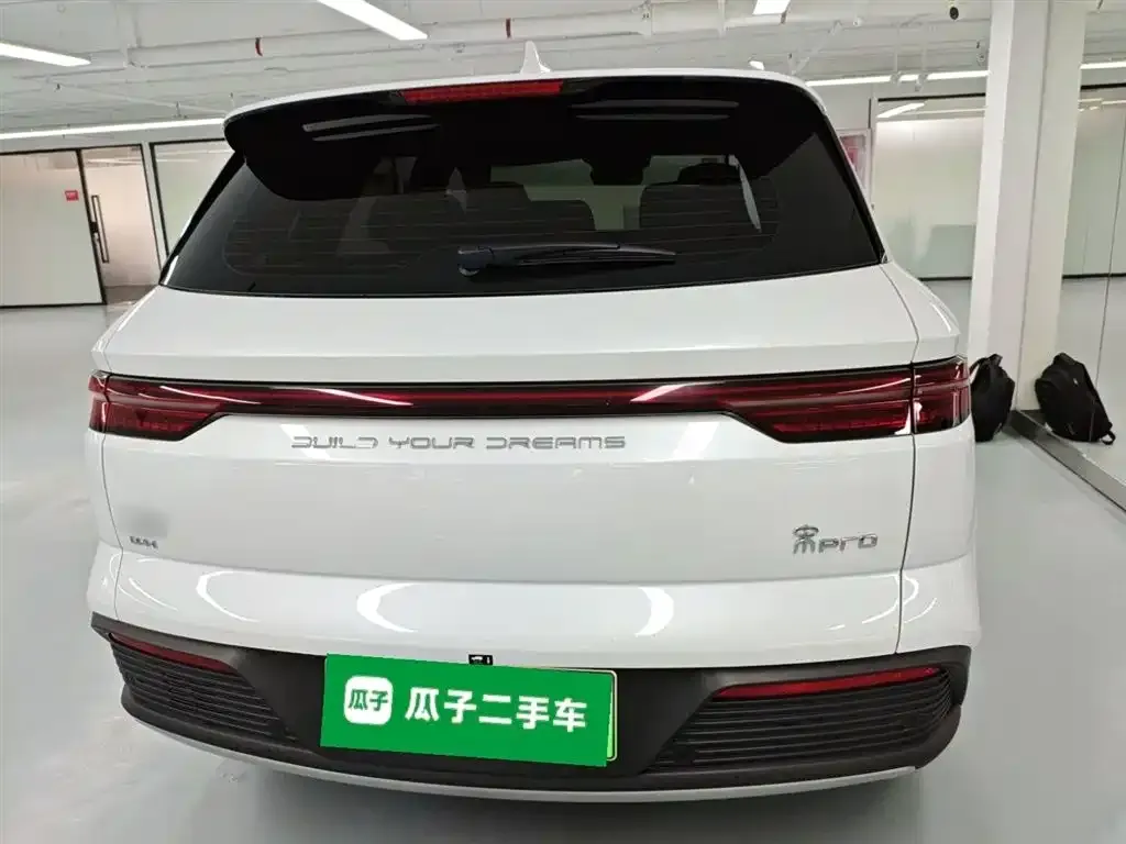 BYD Pro New Energy — фото 9