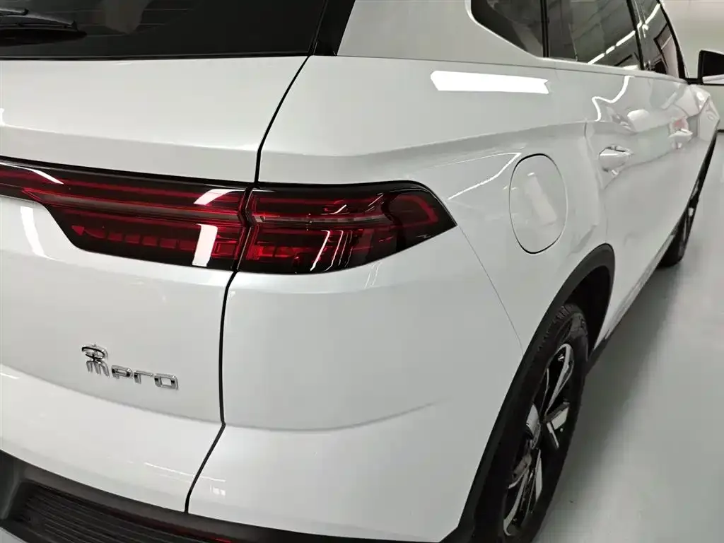 BYD Pro New Energy — фото 8