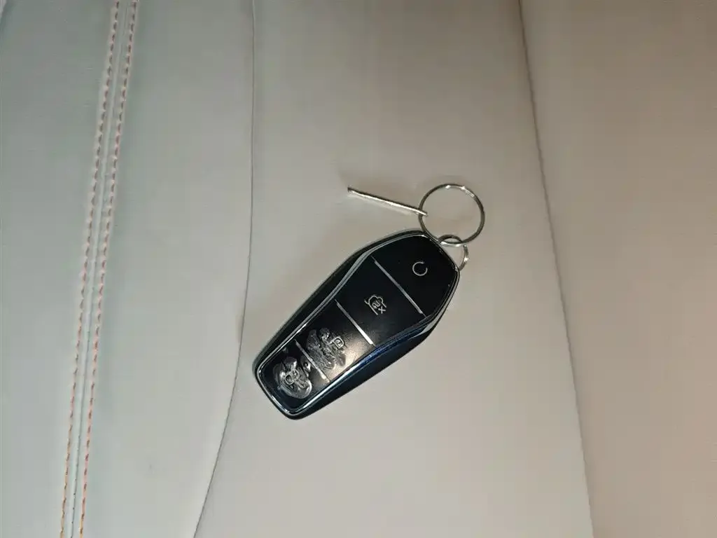 BYD Pro New Energy — фото 2
