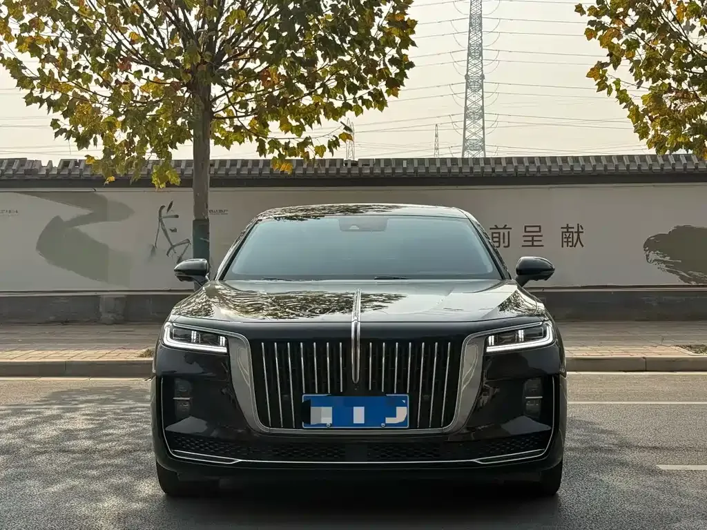 Hongqi H9 — фото 8