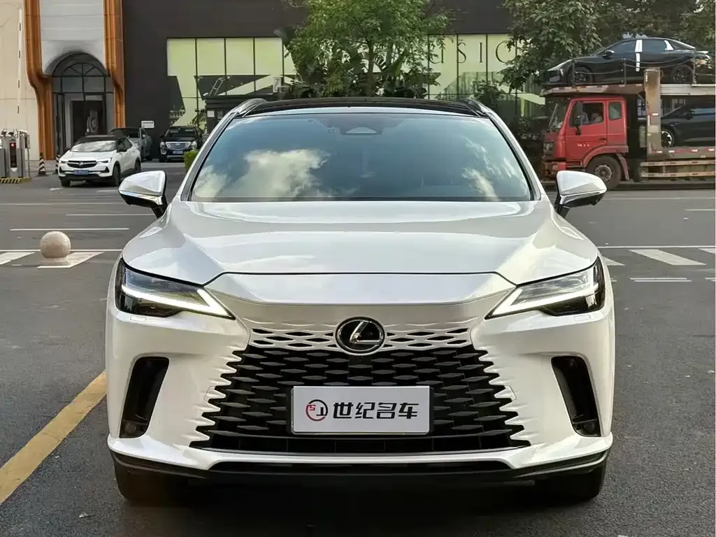 Lexus RX — фото 10