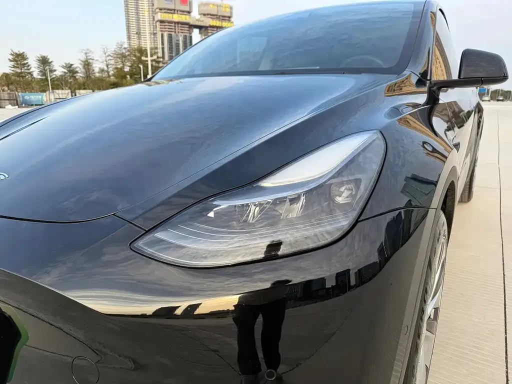 Tesla Model Y — фото 2