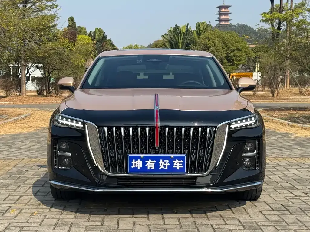 Hongqi H5 — фото 6