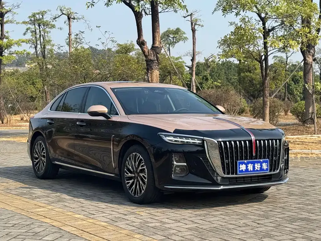 Hongqi H5 — фото 10