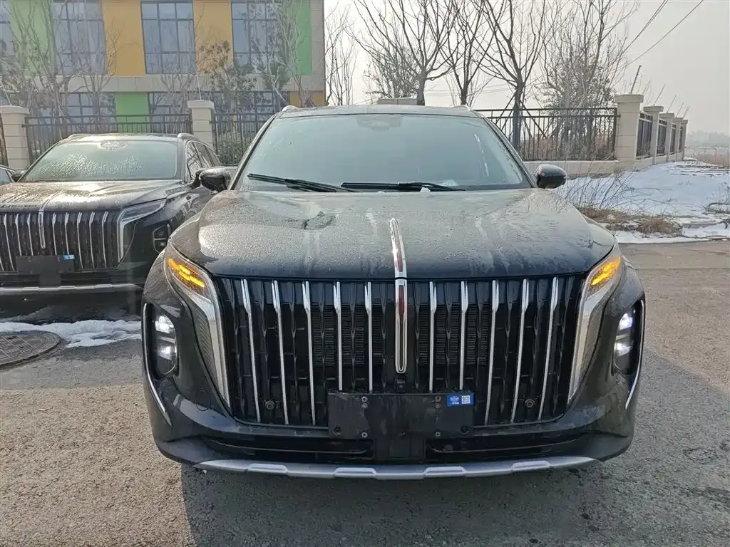 Hongqi HS7 PHEV — фото 4
