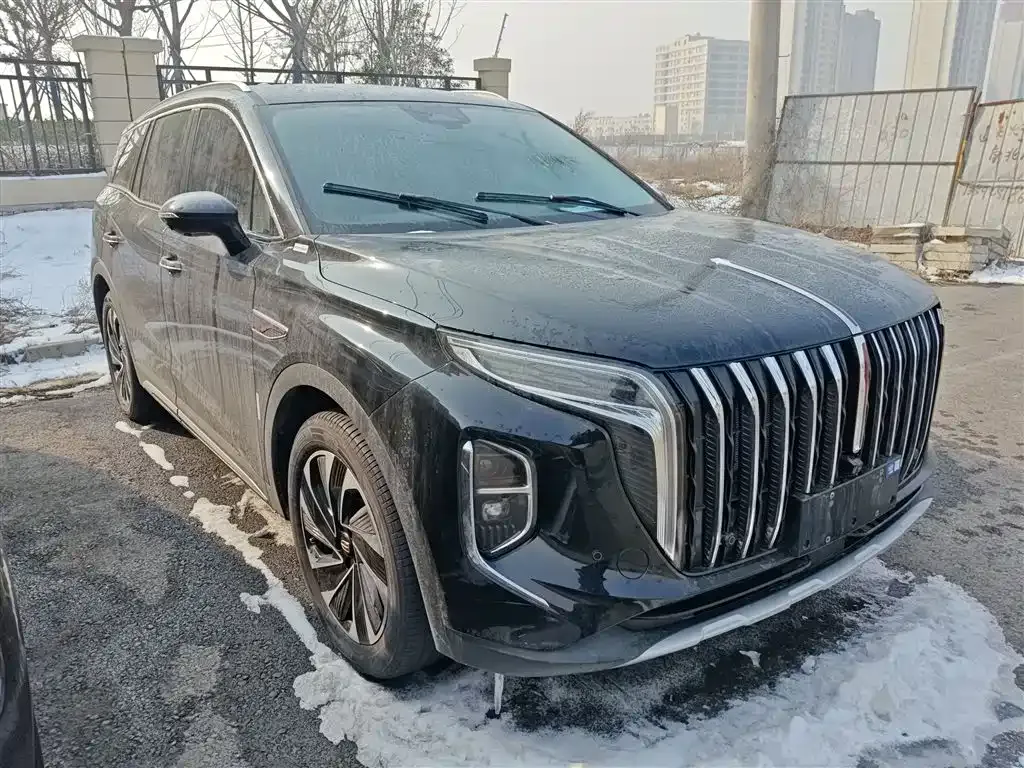 Hongqi HS7 PHEV — фото 10