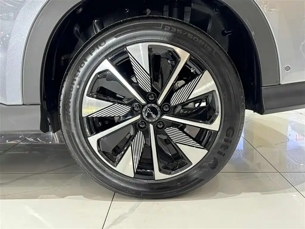 BYD PLUS New Energy — фото 4