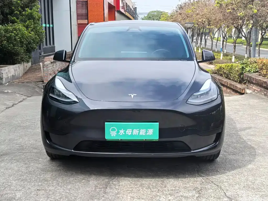Tesla Model Y — фото 5