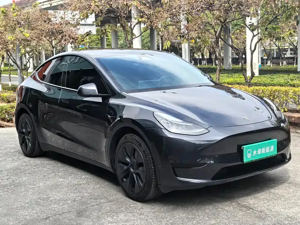 Tesla Model Y — фото 9