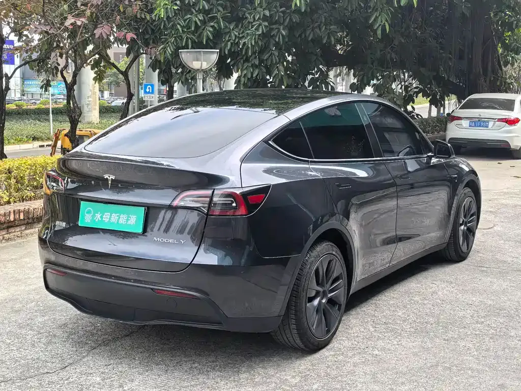 Tesla Model Y — фото 6