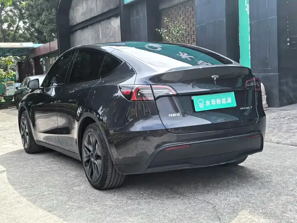 Tesla Model Y — фото 3